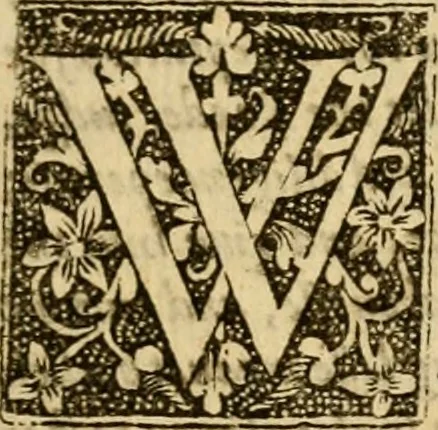 An illustration from A probe thologicall, or, The first part of the Christian pastors proofe of his learned parishioners faith : wherein is handled the doctrine of the law for the knowledge of it .., 1612, leaf 8