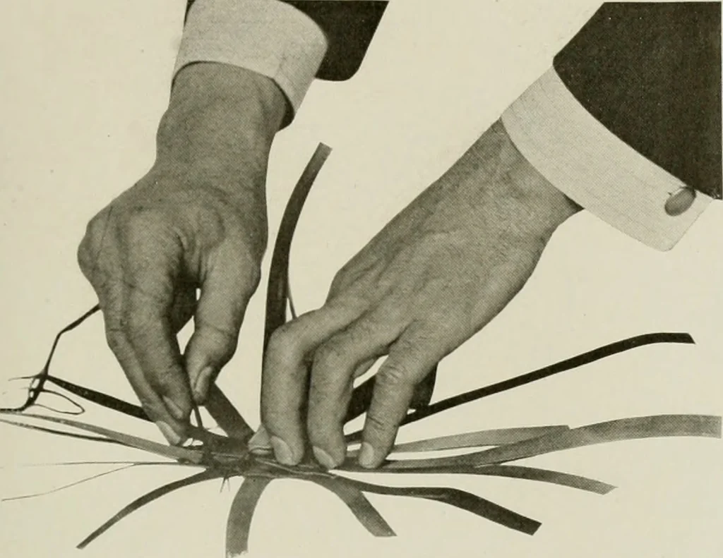 An illustration from Problems in woodwork in combination with other materials for elementary manual training, 1917, leaf 76