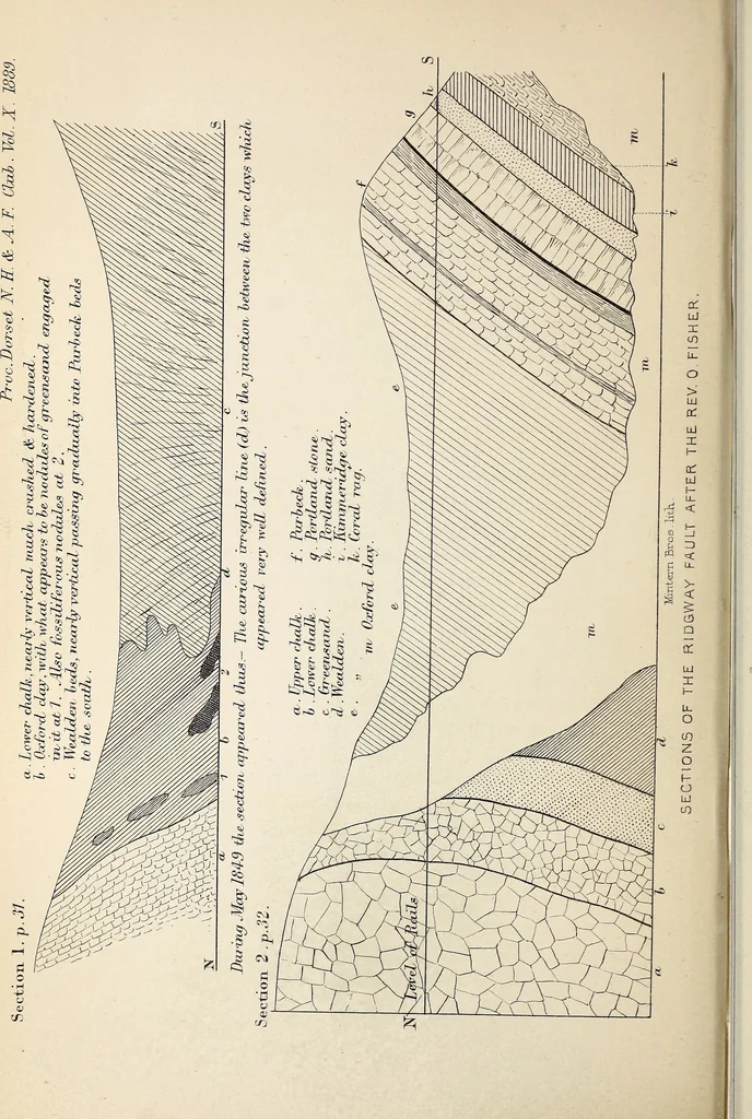 An illustration from Proceedings - Dorset Natural History and Archaeological Society, 1889, leaf 127