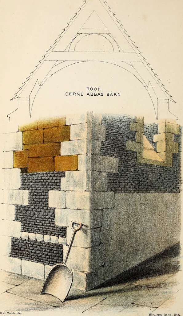 An illustration from Proceedings - Dorset Natural History and Archaeological Society, 1889, leaf 255