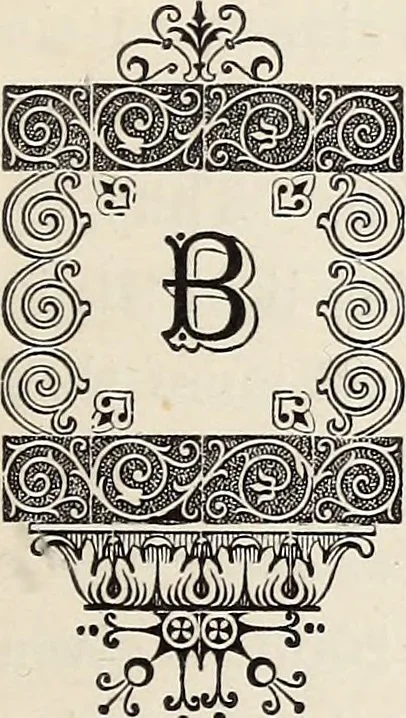 An illustration from Proceedings - Dorset Natural History and Archaeological Society, 1889, leaf 256
