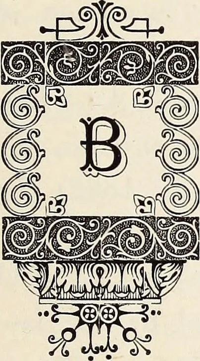 An illustration from Proceedings - Dorset Natural History and Archaeological Society, 1889, leaf 42