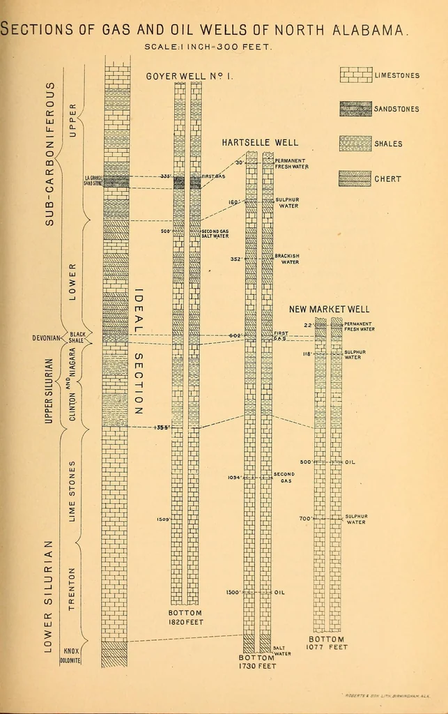 An illustration from Proceedings of the Alabama Industrial and Scientific Society, 1891, leaf 61