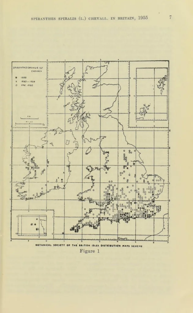 An illustration from Proceedings of the Botanical Society of the British Isles, 1596, leaf 21