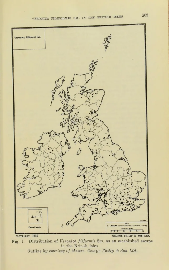An illustration from Proceedings of the Botanical Society of the British Isles, 1596, leaf 229