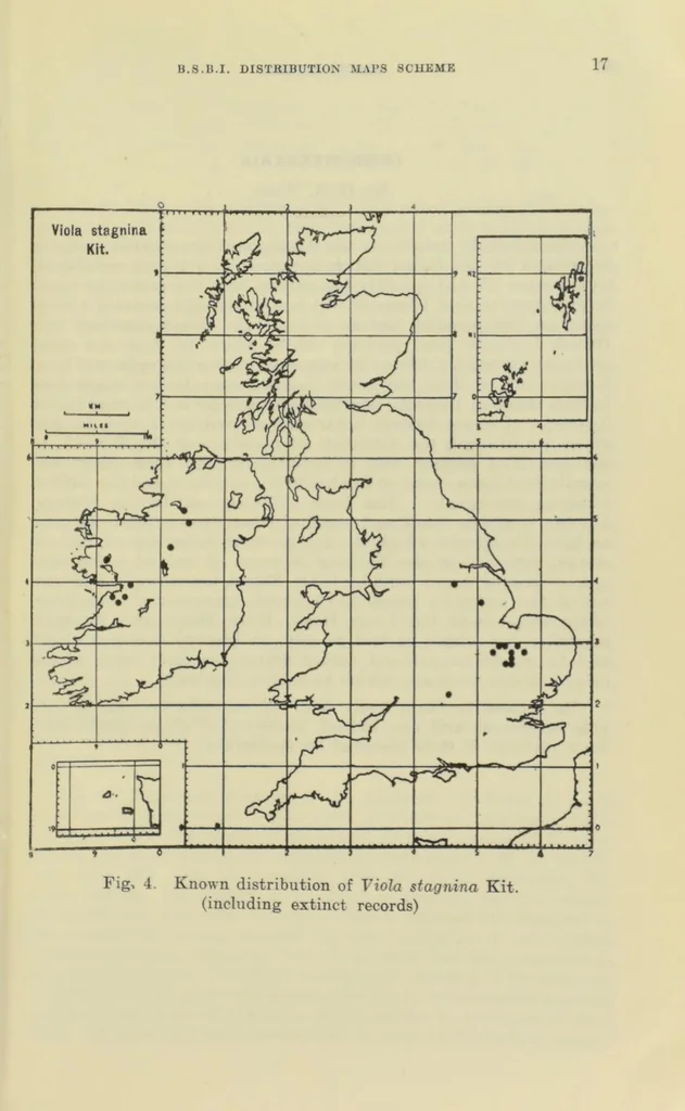An illustration from Proceedings of the Botanical Society of the British Isles, 1596, leaf 31