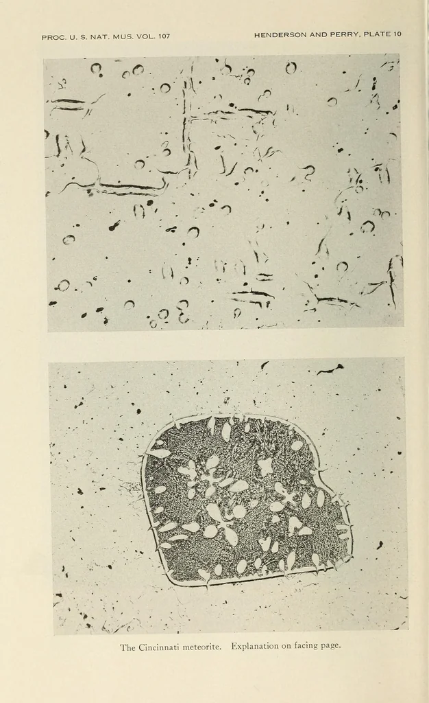 An illustration from Proceedings of the United States National Museum, 1878, leaf 484