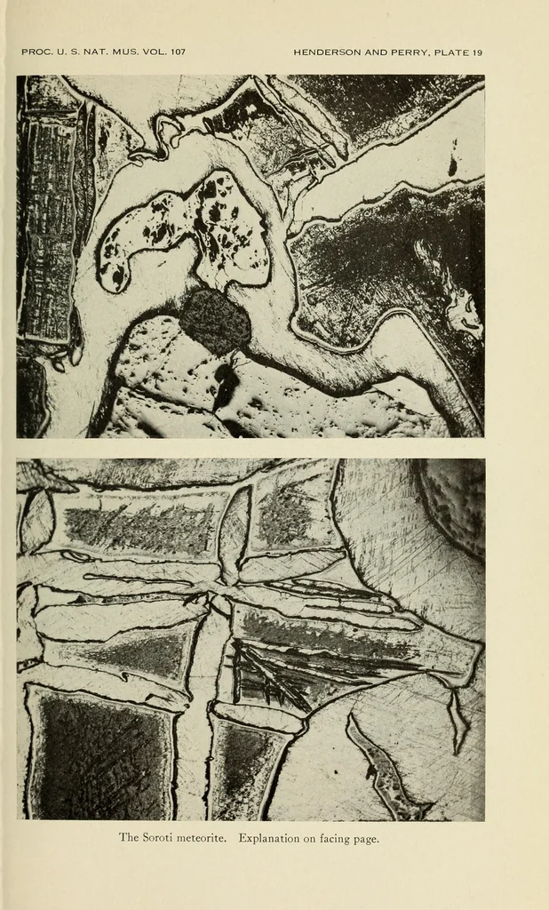 An illustration from Proceedings of the United States National Museum, 1878, leaf 495