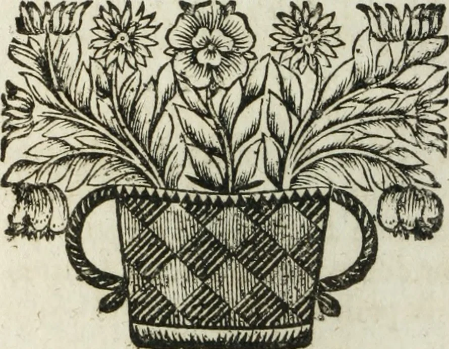 An illustration from Procez verbal des conférences tenues par messieurs les commissaires du roy, & messieurs les de putez du Parlement : pour l'examen des articles proposez pour la composition de l'ordonnance civile, du mois d'avril 1667, et de l'ordonnance criminelle du mois d'août 1670, 1697, leaf 225