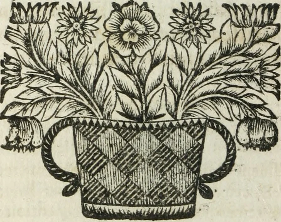An illustration from Procez verbal des conférences tenues par messieurs les commissaires du roy, & messieurs les de putez du Parlement : pour l'examen des articles proposez pour la composition de l'ordonnance civile, du mois d'avril 1667, et de l'ordonnance criminelle du mois d'août 1670, 1697, leaf 279