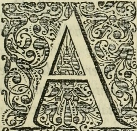 An illustration from Prodomo apologetico alli studi Chircheriani : opera di Gioseffo Petrucci, romano, nella quale con un'apparato di saggi diversi, si dà prova dell' esquisito studio ha tenuto il celebratissimo padre Atanasio Chircher, circa il credere all' opinioni degli scrittori, sì de' tempi andati, come de' presenti, e particolarmente intorno a quelle cose naturali dell' India, che gli furon portate, ò reserte dá quei, che abitarono quelle parti, 1677, leaf 10