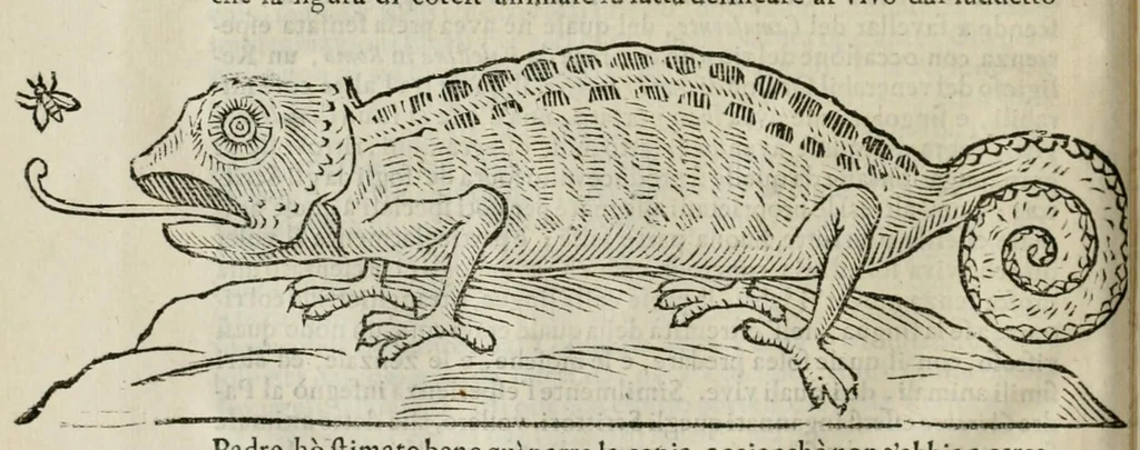 An illustration from Prodomo apologetico alli studi Chircheriani, 1677, leaf 106
