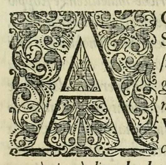 An illustration from Prodomo apologetico alli studi Chircheriani, 1677, leaf 11