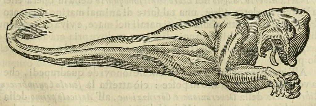 An illustration from Prodomo apologetico alli studi Chircheriani, 1677, leaf 171