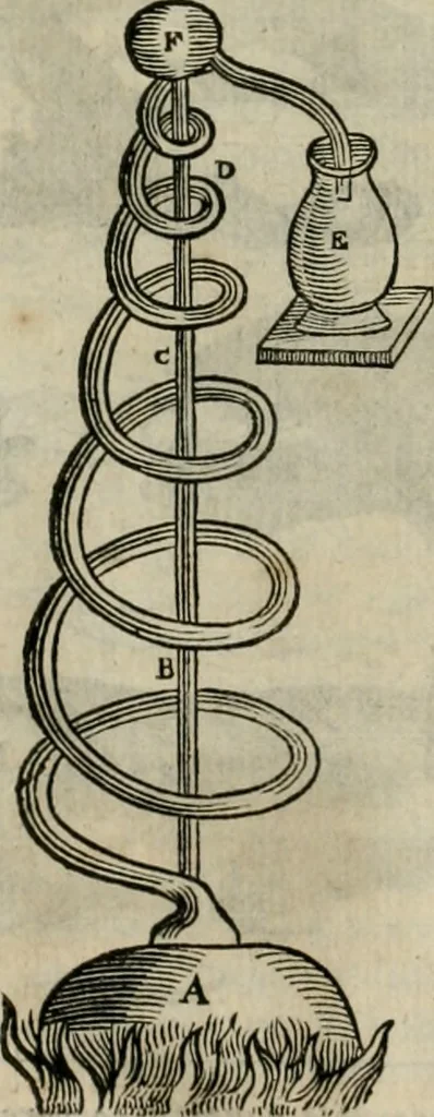An illustration from Prodomo apologetico alli studi Chircheriani : opera di Gioseffo Petrucci, romano, nella quale con un'apparato di saggi diversi, si dà prova dell' esquisito studio ha tenuto il celebratissimo padre Atanasio Chircher, circa il credere all' opinioni degli scrittori, sì de' tempi andati, come de' presenti, e particolarmente intorno a quelle cose naturali dell' India, che gli furon portate, ò reserte dá quei, che abitarono quelle parti, 1677, leaf 181