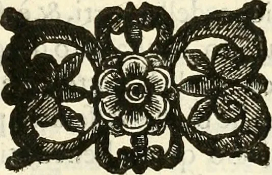 An illustration from Prodromo, ouero, Saggio di alcune inuentione nuoue, premesso all'arte maestra, 1670, leaf 104