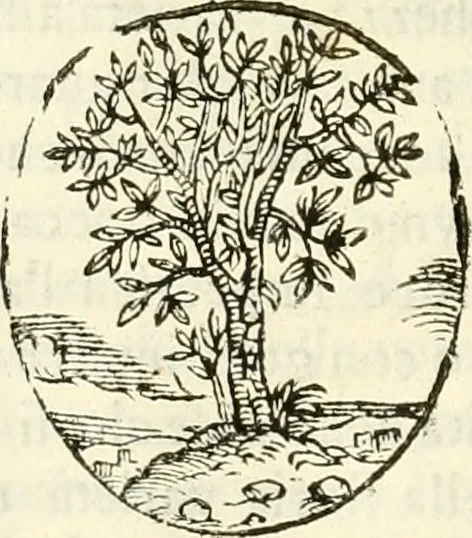 An illustration from Prodromo, ouero, Saggio di alcune inuentione nuoue, premesso all'arte maestra, 1670, leaf 151