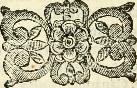 An illustration from Prodromo, ouero, Saggio di alcune inuentione nuoue, premesso all'arte maestra, 1670, leaf 179