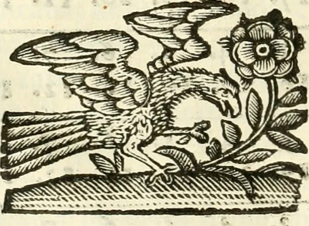 An illustration from Prodromo, ouero, Saggio di alcune inuentione nuoue, premesso all'arte maestra, 1670, leaf 41