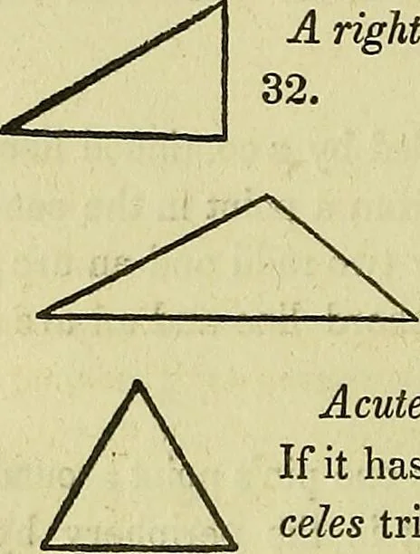 An illustration from Prodromus of a practical treatise on the mathematical arts: containing directions for surveying and engineering, 1838, leaf 191