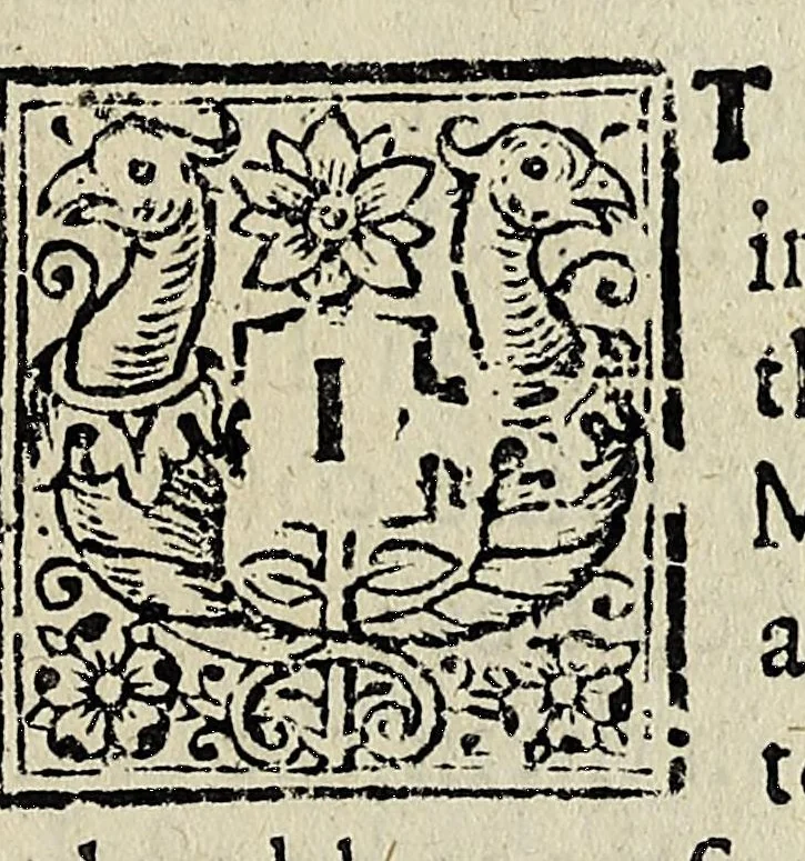 An illustration from The prodromus to a dissertation concerning solids naturally contained within solids : laying a foundation for the rendering a rational accompt both of the frame and the several changes of the masse of the Earth, as also of the various productions in the same, 1671, leaf 29