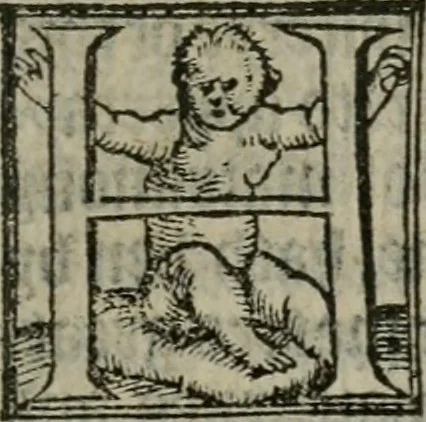 An illustration from A profitable and necessarye doctryne : with certayne homelies adioyned therunto, 1555, leaf 208