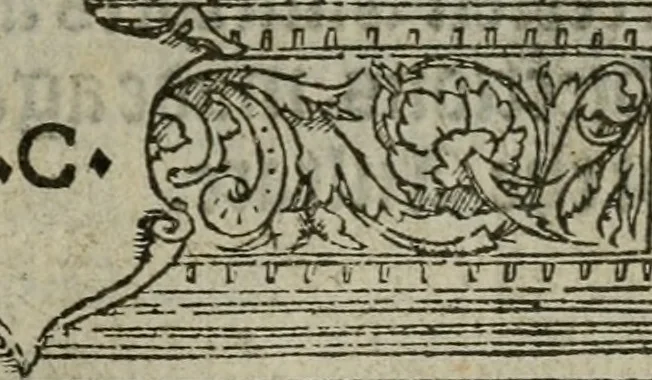 An illustration from A profitable and necessarye doctryne : with certayne homelies adioyned therunto, 1555, leaf 418