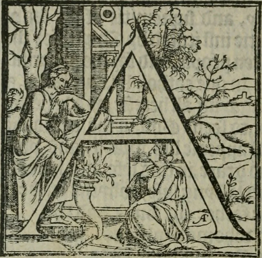 An illustration from A profitable and necessarye doctryne : with certayne homelies adioyned therunto, 1555, leaf 525