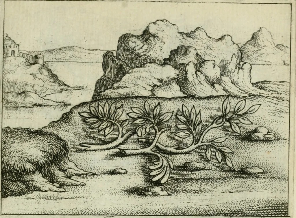 An illustration from Prognosticatio eximii doctoris Theophrasti Paracelsi, 1500, leaf 22