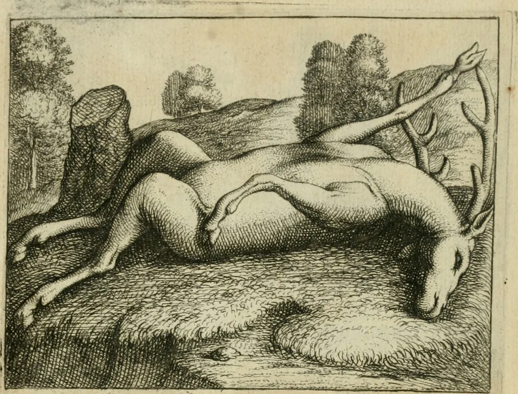 An illustration from Prognosticatio eximii doctoris Theophrasti Paracelsi, 1500, leaf 48