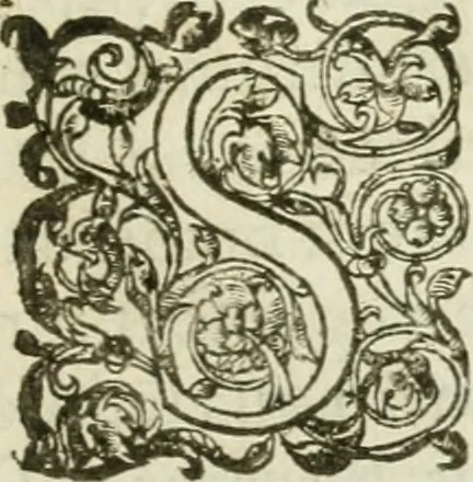 An illustration from Prognosticatio eximii doctoris Theophrasti Paracelsi, 1500, leaf 6