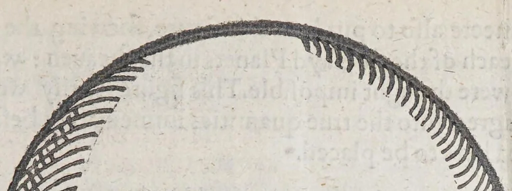 An illustration from A Prognostication euerlasting of right good effect, : fruitfully augmented by the author, containing plaine, briefe, pleasant, chosen rules to iudge the weather by the sunne, moone, starres, comets, rainbow, thunder, clowdes, with other extraordinary tokens, not omitting the aspects of planets, with a briefe iudgement foreuer, of plentie, lacke, sicknes, dearth, warres, &c. opening also many naturall couses worthie to be knowne. : To these, and other now at the last, are ioyned diuers generall pleasant tables, with many compendious rules, easie to be had in memorie, manifold wayes profitable to all men of understanding., 1605, leaf 15