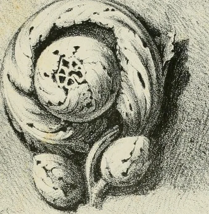 An illustration from Progress in art and architecture : with precedents for ornament, 1852, leaf 74
