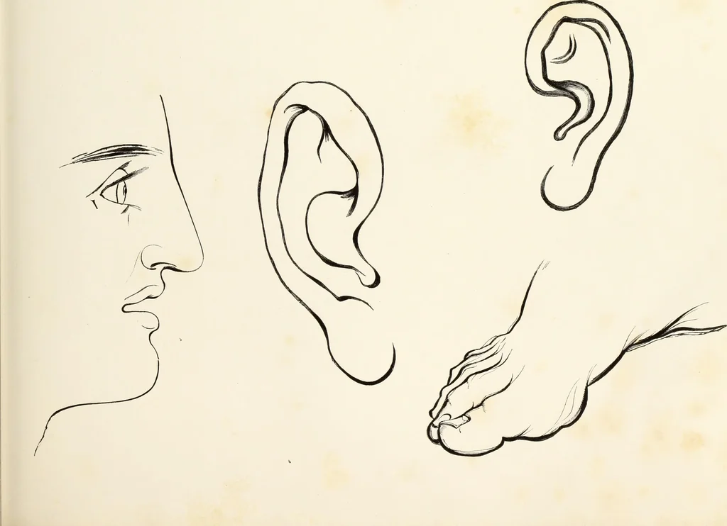 An illustration from The progressive drawing-book : containing a series of easy and comprehensive lessons for drawing landscape, architecture, the human figure, shipping, and animals, &c. without the aid of a master : also, a complete treatise on perspective, with nearly three hundred engravings, 1853, leaf 182