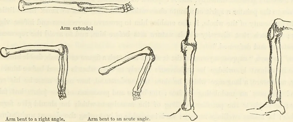 An illustration from The progressive drawing-book : containing a series of easy and comprehensive lessons for drawing landscape, architecture, the human figure, shipping, and animals, &c. without the aid of a master : also, a complete treatise on perspective, with nearly three hundred engravings, 1853, leaf 44