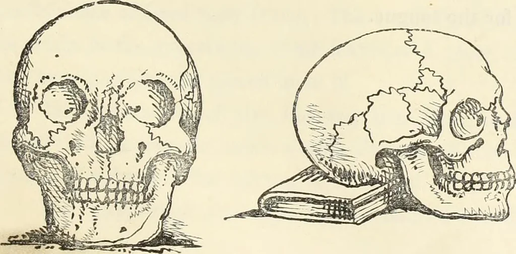 An illustration from The progressive drawing-book : containing a series of easy and comprehensive lessons for drawing landscape, architecture, the human figure, shipping, and animals, &c. without the aid of a master : also, a complete treatise on perspective, with nearly three hundred engravings, 1853, leaf 52