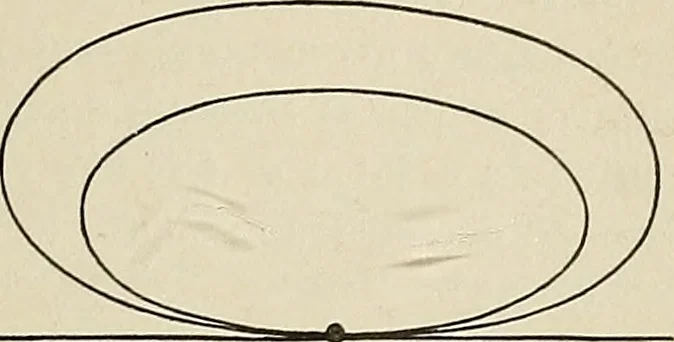 An illustration from Projective geometry, 1910, leaf 308