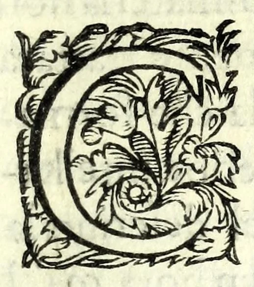 An illustration from Prologhi di Domenico Bruni, detto Fuluio, comico di Madama sereniss. principessa di Piemonte, 1623, leaf 39