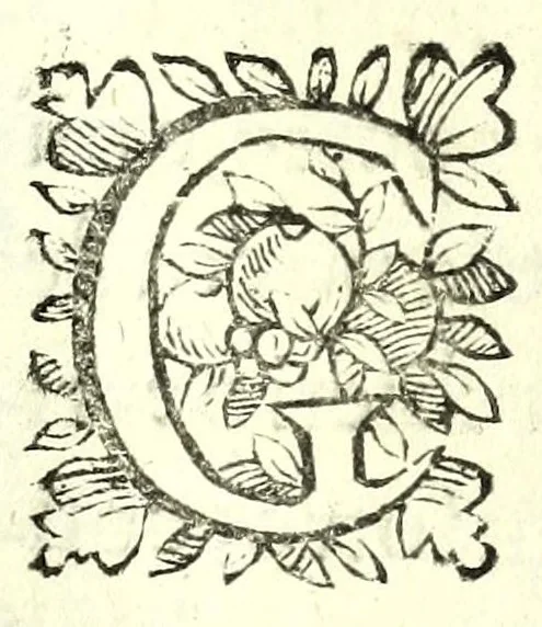 An illustration from Prologhi di Domenico Bruni, detto Fuluio, comico di Madama sereniss. principessa di Piemonte, 1623, leaf 9
