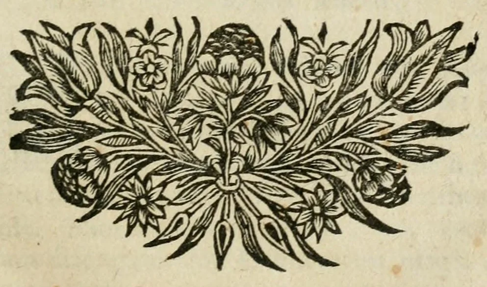 An illustration from Prolusiones oratoriae, 1684, leaf 9