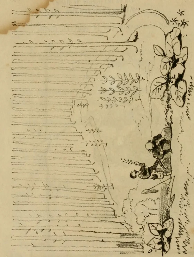 An illustration from Promenade charivarique au Salon de Bruxelles 1845, 1845, leaf 21