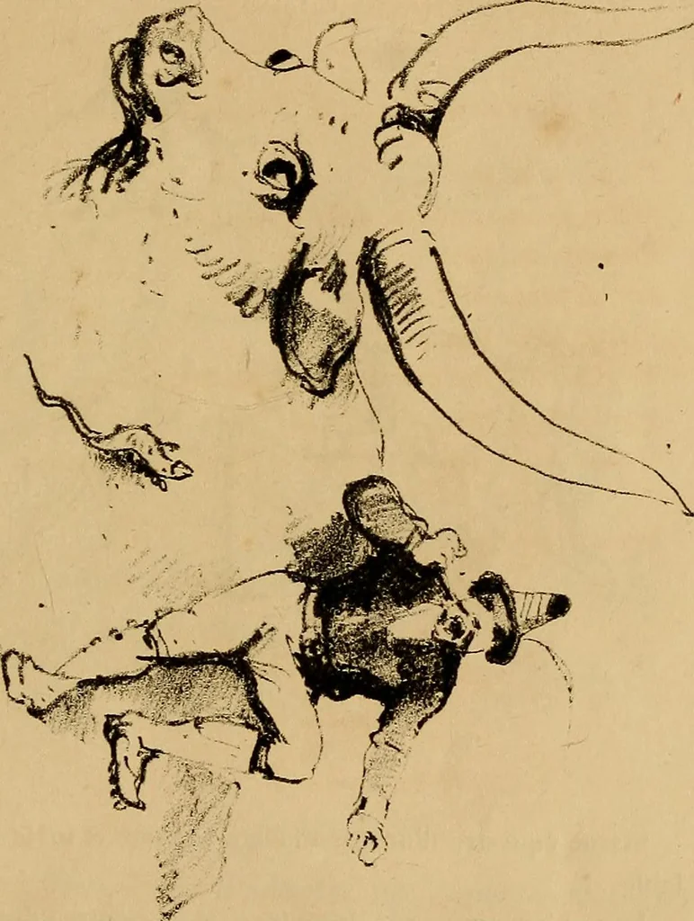 An illustration from Promenade charivarique au Salon de Bruxelles 1845, 1845, leaf 48