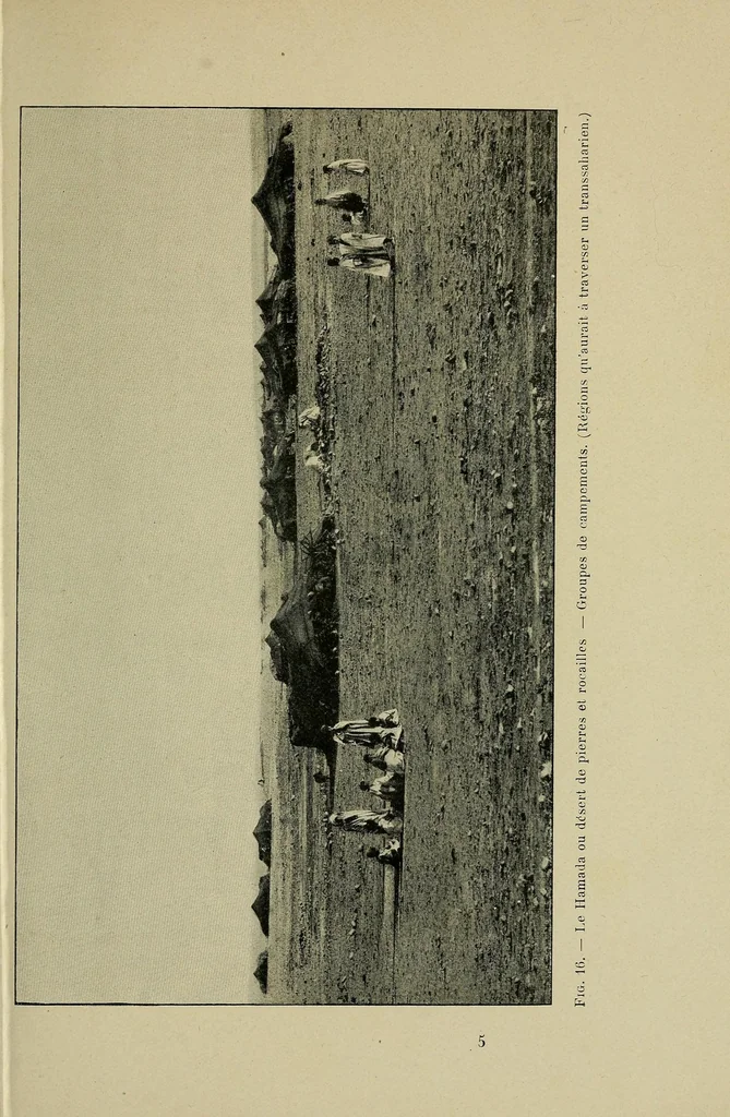 An illustration from Promenades lointaines Sahara, Niger, Tombouctou, Touareg, 1905, leaf 95