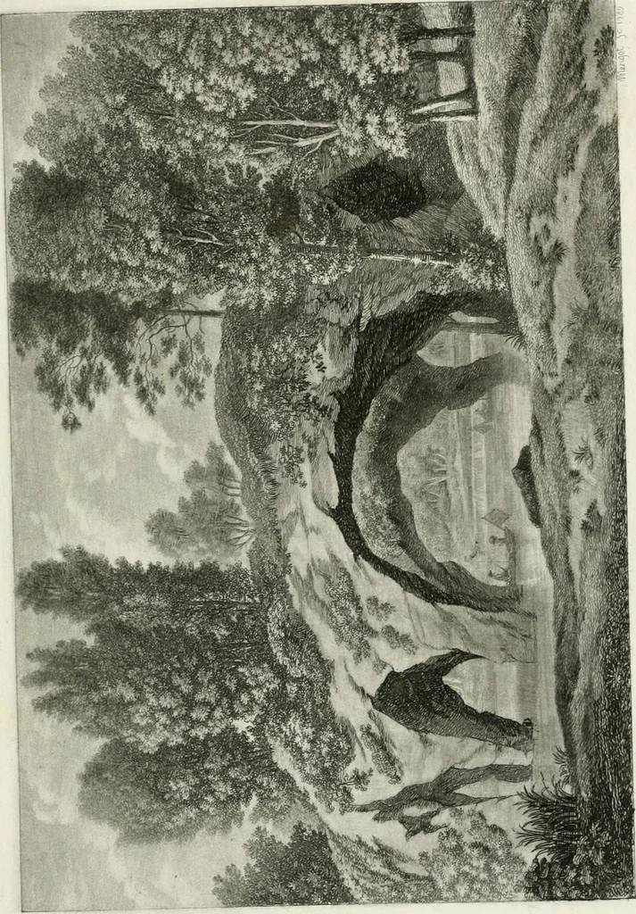 An illustration from Promenades, ou, Itinéraire des jardins de Chantilly : orné d'un plan et de vingt estampes qui en représentent les principales vues, 1791, leaf 56