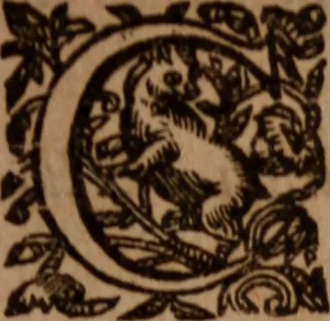An illustration from Promptuarium morale super evangelia dominicalia totius anni : Ad Instructionem Concionatorum, Ad Reformationem Peccatorum, Ad Consolationem Piorum; Ex Sacris Scripturis, SS. Patribus, et optimis quibusque authoribus studiose collectum, 1592, leaf 368