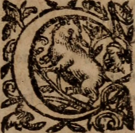 An illustration from Promptuarium morale super evangelia dominicalia totius anni : Ad Instructionem Concionatorum, Ad Reformationem Peccatorum, Ad Consolationem Piorum; Ex Sacris Scripturis, SS. Patribus, et optimis quibusque authoribus studiose collectum, 1592, leaf 554