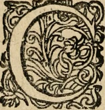 An illustration from Promptvarii execvialis pars prior, continens centvrias III. dispositionvm, qvibus themata funebria siue Scripturae dicta varia, 1610, leaf 21