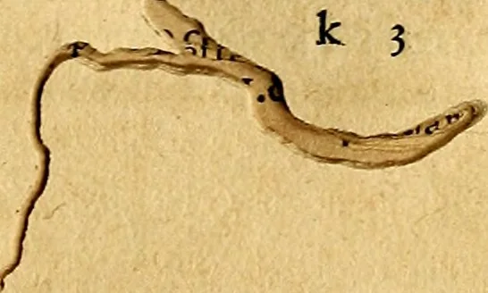 An illustration from Prontvario de le medaglie de piv illvstri, & fulgenti huomini & donne, dal pricipio del mondo insino al presente tempo.., 1553, leaf 144