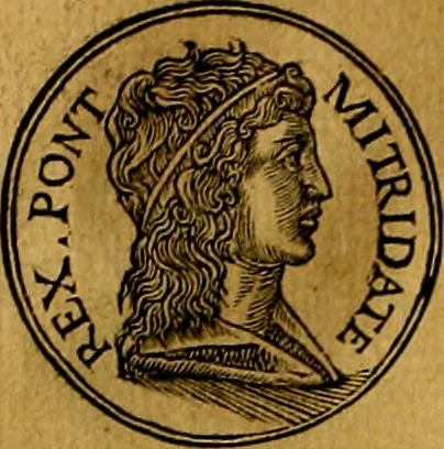 An illustration from Prontvario de le medaglie de piv illvstri, & fulgenti huomini & donne, dal pricipio del mondo insino al presente tempo.., 1553, leaf 159