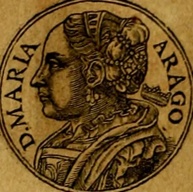 An illustration from Prontvario de le medaglie de piv illvstri, & fulgenti huomini & donne, dal pricipio del mondo insino al presente tempo.., 1553, leaf 429